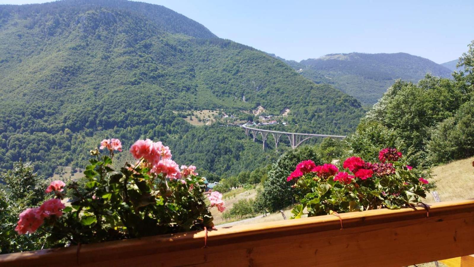 Etno Villas Tara&Petra Žabljak 外观 照片